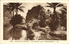 CPA Scenes Et Types Au Bord d'Un oued Palmiers dattiers