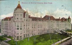 CPA Museum of Natural History New York