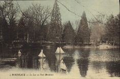 CPA Bordeaux Le Lac Au Parc Bordelais