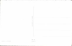 CPA Fantaisie Fleurs 