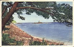 CPA Dans L'Esterel St Raphael