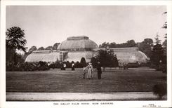CPA The Great Palm House Kew Gardens