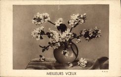 CPA Fantaisie Fleurs