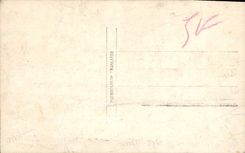 Flores de la fantasía de la POSTAL de la VENDIMIA