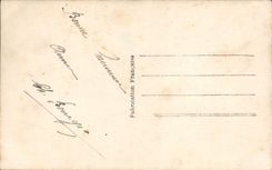 Flores de la fantasía de la POSTAL de la VENDIMIA