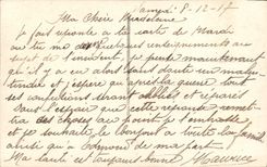 Flores de la fantasía de la POSTAL de la VENDIMIA