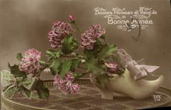 La fantasía de la POSTAL de la VENDIMIA florece el zapato