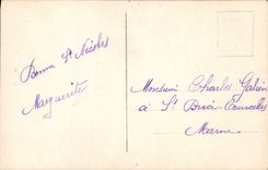 Flores de la fantasía de la POSTAL de la VENDIMIA