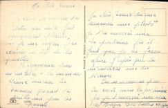 VINTAGE POSTCARD Fantasy Cat Kitten