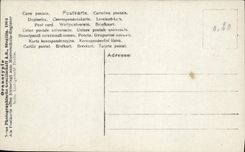 VINTAGE POSTCARD Fantasy Woman Marriage