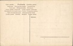 Mujer de la fantasía de la POSTAL de la VENDIMIA