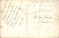 Mujer de la fantasía de la POSTAL de la VENDIMIA