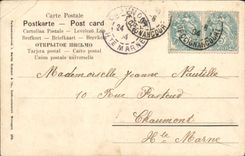 CPA Fantaisie Fleurs Vigne