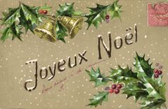 CPA Fantaisie Fleurs Noel