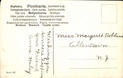 VINTAGE POSTCARD Fantasy Flowers Chicks