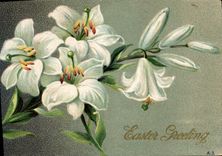 Flores de la fantasía de la POSTAL de la VENDIMIA