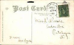 Flores de la fantasía de la POSTAL de la VENDIMIA