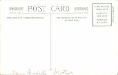 Flores de la fantasía de la POSTAL de la VENDIMIA