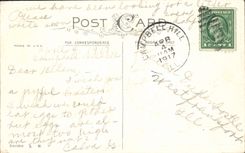 Flores de la fantasía de la POSTAL de la VENDIMIA