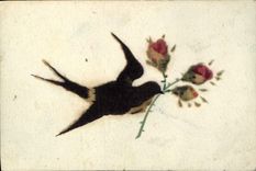 VINTAGE POSTCARD Fantasy Bird Flower