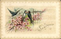VINTAGE POSTCARD Fantasy Flowers Birds