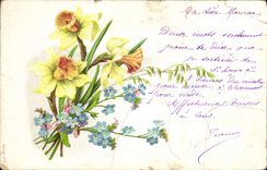 Flores de la fantasía de la POSTAL de la VENDIMIA