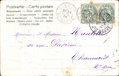 Flores de la fantasía de la POSTAL de la VENDIMIA