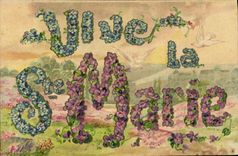 VINTAGE POSTCARD Fantasy Flowers co. Marie Doves