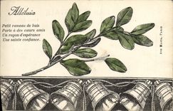 VINTAGE POSTCARD Fantasy Flowers Bells