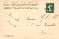 VINTAGE POSTCARD Fantasy Flowers