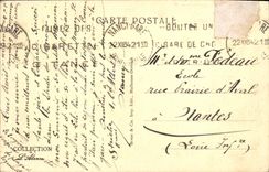 VINTAGE POSTCARD Alsace Nest Of Storks