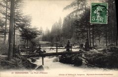VINTAGE POSTCARD Gerardmer the bridge of Love