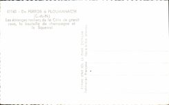 CPM De Perros Ploumanach Les Etranges rochers de la Cote