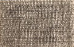 VINTAGE POSTCARD Lyon Gulls with the Lafayette Bridge