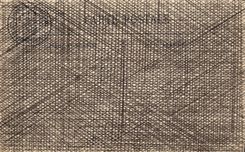 VINTAGE POSTCARD Lyon International exhibition Gardens of the horticulture and Senegalese village