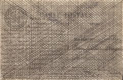 Panorama internacional de la exposición de Lyon de la POSTAL de la VENDIMIA en los jardines de la horticultura