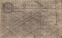 VINTAGE POSTCARD Lyon International exhibition Entry and Sight On the Palate of the horticulture