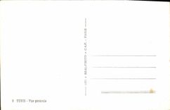 VINTAGE POSTCARD Tunis View