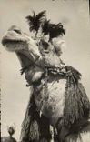 VINTAGE POSTCARD Camel Dromedary (chart toilee)
