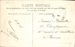 VINTAGE POSTCARD Ferns First seen panoramic