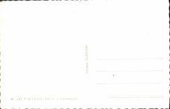 POSTAL MODERNA paladar del Saint Quentin de Vervacques