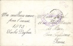 VINTAGE POSTCARD Fantasy Rose Flowers