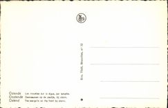 POSTAL MODERNA gaviotas de Ostende en la presa de Storm