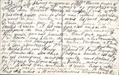 VINTAGE POSTCARD Fantasy Flowers