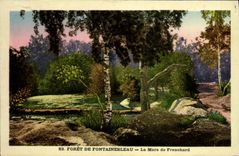 CPA Foret De Fontainebleau La Mare De Franchard