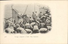 CPA Bateau Guerre Lavage corporel a bord d'un cuirasse