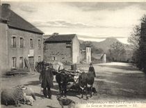 CPA Automobile Circuit d'Auvergne coupe gordon Bennett 1905 Circuit Michelin La sortie Bromont Lamothe Vaches Boeufs 