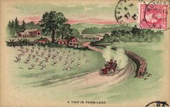 VINTAGE POSTCARD Automobile has trip in Farm Land