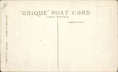 VINTAGE POSTCARD Illustrator Sex Library