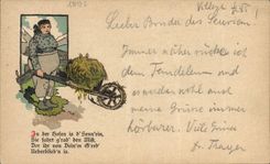 CPA Illustrateur Carte 1895 Paysanne Folklore Autriche